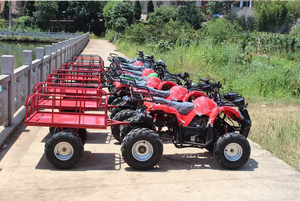 <span class=keywords><strong>Remorque</strong></span> agricole tout-terrain pour quad, personnalisable, moteur 4 temps 200cc, quadricycle adulte avec capacité de charge de 300 <span class=keywords><strong>kg</strong></span> - Product Image 6