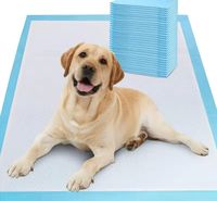Tapis d'entraînement pour chiens, tapis absorbants pour chiots, tapis pour animaux de compagnie, différentes tailles (petites, extra grandes) pour l'apprentissage de la propreté