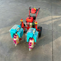 Semoir manuel Haomin à bec de canard, planteuse de précision pour petites graines, machine à semer multi-rangs pour la ferme, garantie 2 ans, facile à utiliser, pour carottes