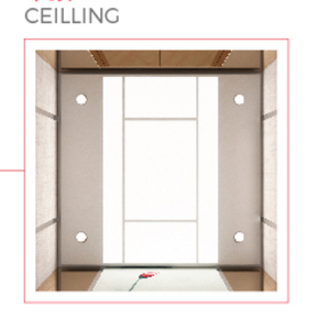 Volkslift 0017 Décoré <span class=keywords><strong>Maison</strong></span> Résidentielle Ascenseur Prix Pas Cher Ascenseurs pour Ascenseur Domestique - Product Image 2