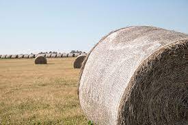 Chất lượng cao nhựa Bale bọc <span class=keywords><strong>Net</strong></span> cho haystraw ủ chua hoặc các loại cây trồng khác - Product Image 5