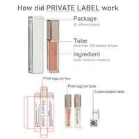Brillo Labial de Marca Privada Disponible en Múltiples Tubos, 151 Opciones de Color, Impresión de Logotipo Personalizada, Más de 200 Tubos, Brillo Labial OEM