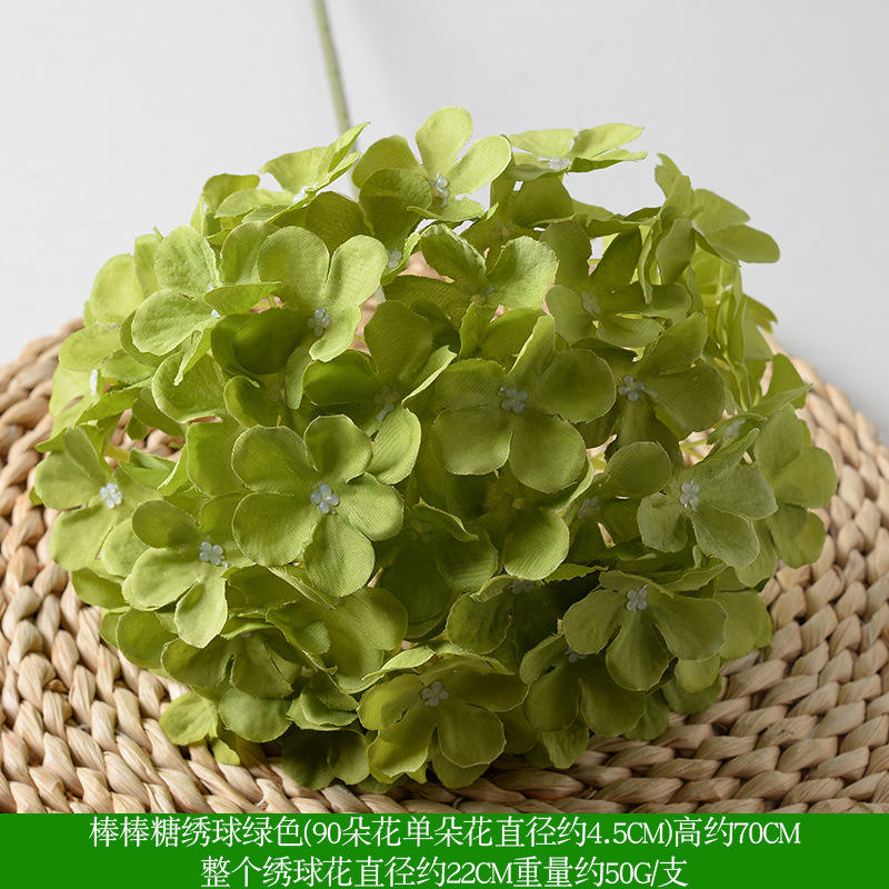 Sucette hortensia verte