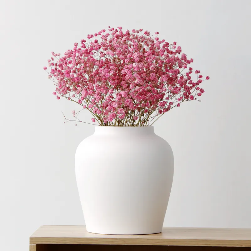 Moderne wohnzimmer blume anordnung hause kreative dekoration weiß keramik vase mit seil