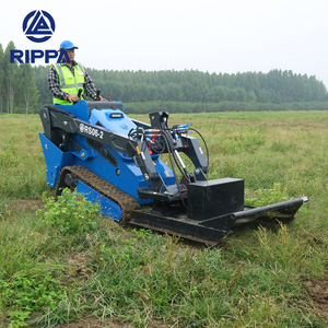 Mini-chargeuse compacte RIPPA RS06 pour travaux à domicile, mini-chargeuse sur chenilles, mini-chargeuse compacte, tracteur à chenilles à vendre - Product Image 1