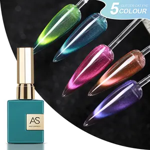 Another Sexy 5 Colors Double Light Water Light Cat Eye Uv Gel Colorful Gradient 15 Ml 9D Magnetic Gel Nail Polish