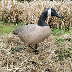 Décoy de canard canadien sur piquet, grandeur nature 1:1, motif tête noire et joues blanches, ornement de jardin, appât de chasse extérieur - Product Image 5