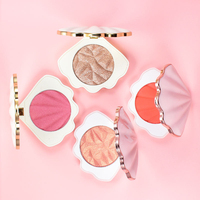 Enlumineur naturel longue tenue pour le visage, maquillage en poudre pressée, palette individuelle illuminante