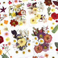 Kit de fleurs séchées pressées multi-tailles pour bricolage, matériel fait main pour moule en résine, décoration de coque de téléphone, confettis de mariage