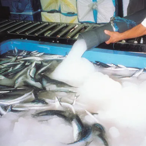 <span class=keywords><strong>Unidad</strong></span> de Procesamiento de Mariscos con Hielo, Máquina de Hielo en Escamas para la Conservación de la Frescura del Atún, Salmón y <span class=keywords><strong>Ostras</strong></span> - Product Image 6