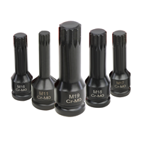 Jeu de douilles à cliquet 16 pièces 1/2 pouce, jeu de douilles à cliquet Master Impact Torx Star 1/2 pouce, jeu d'outils à douilles M4 - M19 CR-MO