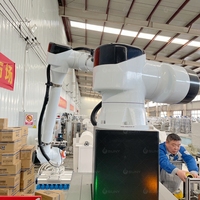 Machine à empiler Offre Spéciale Distributeur de palettes Équipement Colonne empileuse Robots Palettiseur
