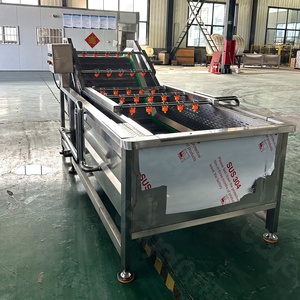 เครื่องล้างอุตสาหกรรมอาหารอัตโนมัติ รุ่น SS304 แบบฟองอากาศ สำหรับมันฝรั่ง มะเขือเทศ และผักใบเขียว - Product Image 2