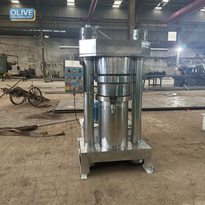Buena Reputación Entre los Clientes y Amplia Experiencia en Fabricación, Fabricante Profesional de Prensas Hidráulicas para Aceite - Product Image 1