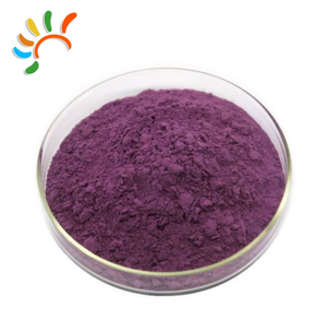 Bubuk ekstrak jus Blackcurrant organik kelas atas makanan bubuk buah Blackcurrant alami Drum ekstraksi - Product Image 2