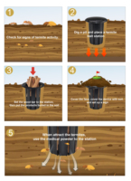 Détecteur de termites en plastique de haute qualité piège contrôle des insectes appâts termites