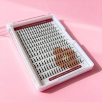 Bulu Mata Cluster Grosir dengan Bulu Mata Individual Mix CD Curl Natural Faux Mink DIY Lash Clusters Kit Logo Kustom