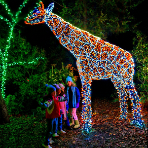 Outdoor LED Christmas Lights Giraffe Animal Decoration - Product Image 1