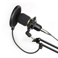 Microphone à condensateur universel filaire BM 800 pour téléphone, ordinateur, podcasting, karaoké, jeux, enregistrement, avec suppression du bruit