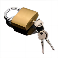 Petit cadenas 30MM personnalisé ou Standard en Chine Vente en gros de manilles sûres en acier Serrure en laiton de bonne qualité