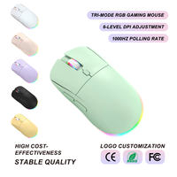 Souris de jeu sans fil ergonomique 105g, clic silencieux, trois modes, 4800 DPI, éclairage RGB, rechargeable USB-C pour bureau et e-sport (vente en gros)