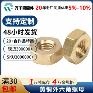 Brass Hex Nuts M4 M5 M6 M8 M10 M12 M14 M16 Metric External Hex GB6170 Level 4.8 True Colors - Product Image 5