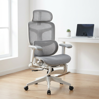 Luxe Confortable 360 °   Fauteuil de bureau exécutif ergonomique gris avec accoudoirs et dossier entièrement en maille pour le bureau