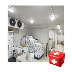 Customized Medical Cold Storage Room Commercial Frequency Conversion Cold Storage Cold Chain Equipment Container Swing Provided