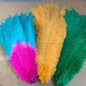 Nuevo producto 18-20 "45-50 cm Dos tonos de avestruz teñida blanqueada <span class=keywords><strong>Nandu</strong></span> - Product Image 5