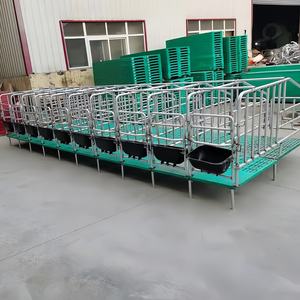 Caisse de gestation pour truies galvanisée <span class=keywords><strong>cages</strong></span> pour porcs caisses cage d'élevage pour équipement agricole - Product Image 5