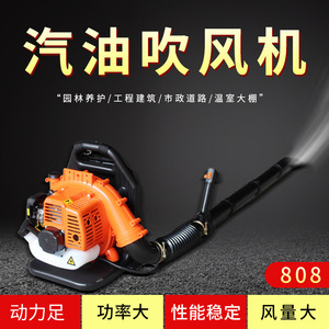 Soplador de Gasolina 808 de 2 Tiempos, Equipo Profesional para la Lucha Contra Incendios y Agricultura - Product Image 5