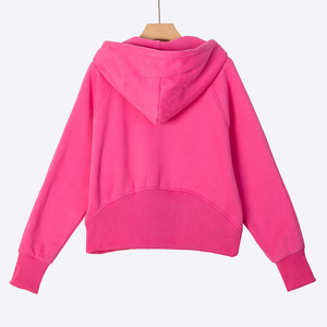 Grande taille en gros femmes 1/4 Zip pull vêtements personnalisé Vintage recadrée en détresse athlétique sweats à capuche vêtements d'hiver pour les femmes - Product Image 4