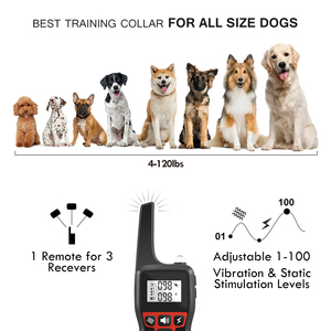 Dog Training Collar with <b>Remote</b> <b>Control</b> Rechargeable Electric Shock <b>Vibration</b> Nylon Red White Modern Style for Dogs - Product Image 3
