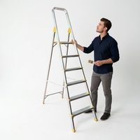 Échelle pliante en aluminium antidérapante, capacité de charge de 150 kg, robuste et durable pour la maison