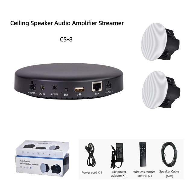 Ceiling Speaker Audio Amplifier Streamer | Dual-Band WiFi for 5.4 5.0 AirPlay2 DLNA USB Input 100W Home Theater System