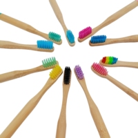 Ensemble de brosses à dents en bambou naturel poils souples charbon de bois blanchiment des dents soins bucco-dentaires aide dentaire usage domestique