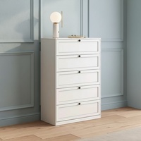 Commode de rangement en acier à 5 tiroirs |   Armoire moderne minimaliste écologique haute capacité avec glissières silencieuses pour usage domestique et hôtelier