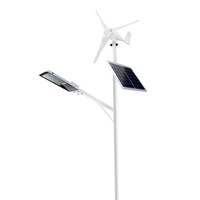 Lampu jalan angin tenaga surya hibrida, lampu LED berkendara/mati otomatis untuk taman Jalan Raya kampus pencahayaan luar ruangan 50w-60w