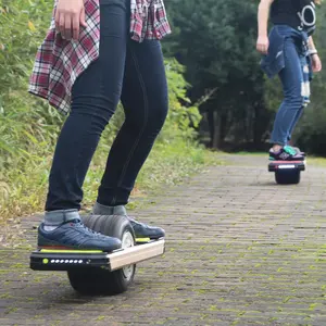 Gaea china electric skateboard/ one wheel balance scooter/ electric hover board