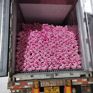 g1大蒜种子中国大蒜供应商，价格便宜的生大蒜出售 - Product Image 4