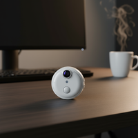 Caméra de sécurité sans fil domestique FY866, caméra WiFi HD 1080P, détection humaine, vision nocturne, grand angle, carte mémoire, visualisation à distance
