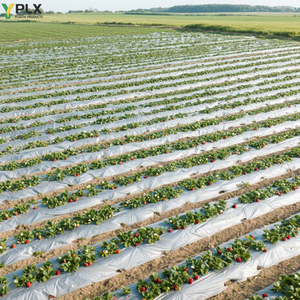 Chất lượng cao nông nghiệp Sản phẩm nhựa đục lỗ Trắng đen bạc nhựa mulch phim nông nghiệp mulching Sheets - Product Image 1