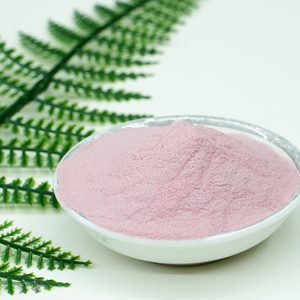 Polvo <span class=keywords><strong>de</strong></span> <span class=keywords><strong>Fresa</strong></span> Instantáneo Secado por Aspersión, Material Crudo <span class=keywords><strong>de</strong></span> Bayas Frescas - Product Image 4