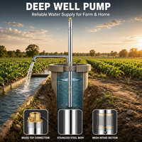 Pompe à eau submersible durable monophasée 4 pouces en acier inoxydable 304 pour puits profond, 4m³/h, 6 étages, hauteur de refoulement 30m, pour l'irrigation agricole