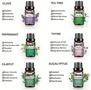 Organic essential oil natural lavender essential oil new   tea tree   rosemary   ginger   peppermint   rose aroma essential oil
