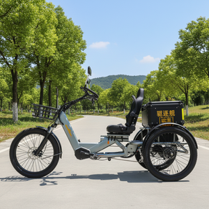 Triciclo con Diseño de Carrocería Abierta, Motor Dual de Alta Potencia de 1750W, Capacidad de Carga de 200 kg, Largo Alcance de Conducción, Triciclo con Diseño de Carrocería Abierta - Product Image 1
