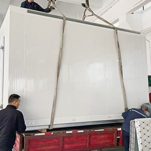 Chambre froide de petite taille, prix, chambre froide réfrigérée pour la viande et les fruits de mer - Product Image 3