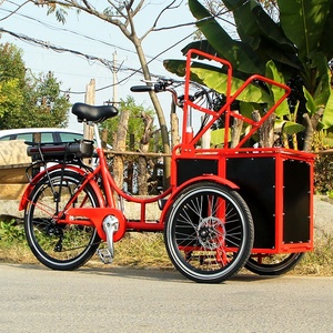 Nouveau modèle 2026 : Tricycle électrique <span class=keywords><strong>mini</strong></span>-cargo populaire en Europe pour chiens et enfants - Product Image 1