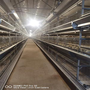 3 Tier H Type Fully Automatic Iron Chicken Broiler Cage System New Condition Poultry <strong>Farming</strong> <strong>Quail</strong> Bird Animal Cages QM YC-65 - Product Image 3
