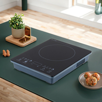 Table de cuisson à induction portable 2800W, commande tactile, panneau en cristal, usage domestique et commercial